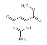 methyl 2-amino-6-oxo-3H-pyrimidine-4-carboxylate picture