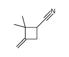 2,2-Dimethyl-3-methylenecyclobutane-1-carbonitrile Structure