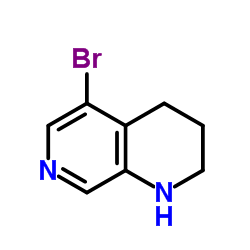 5-Bromo-1,2,3,4-tetrahydro-1,7-naphthyridine Structure