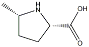 cis-5-methylpyrrolidine-2-carboxylic acid结构式