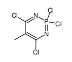 2,2,4,6-tetrachloro-5-methyl-2λ5-[1,3,2]diazaphosphinine Structure