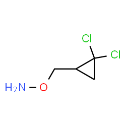 Hydroxylamine, O-[(2,2-dichlorocyclopropyl)methyl]- (9CI) structure