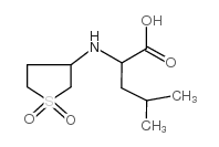 (2S)-2-[(1,1-dioxothiolan-3-yl)amino]-4-methylpentanoic acid Structure