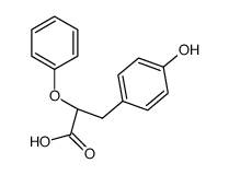 (+/-)-2-phenoxy-3-(4-hydroxy-phenyl)-propionic acid结构式