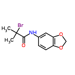 N-(1,3-Benzodioxol-5-yl)-2-bromo-2-methylpropanamide结构式