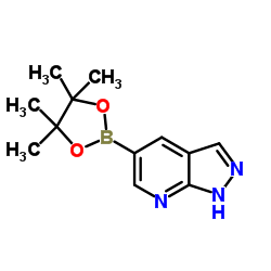 5-(tetramethyl-1,3,2-dioxaborolan-2-yl)-1H-pyrazolo[3,4-b]pyridine Structure