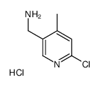 (6-Chloro-4-methylpyridin-3-yl)methanamine hydrochloride结构式