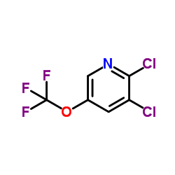 2,3-Dichloro-5-(trifluoromethoxy)pyridine Structure