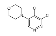 4-(5,6-dichloropyridazin-4-yl)morpholine结构式