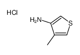 4-甲基噻吩-3-胺盐酸盐图片