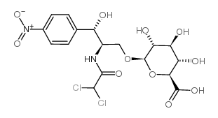 chloramphenicol glucuronide Structure
