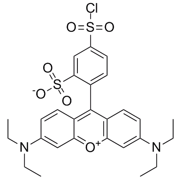 丽丝胺碱性蕊香红B磺酰氯图片