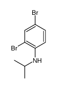 2,4-dibromo-N-propan-2-ylaniline Structure