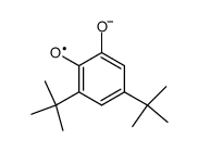 3,5-di-tert-butylsemiquinone anion radical Structure