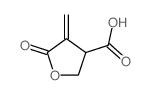 3-Furoic acid, tetrahydro-4-methylene-5-oxo-结构式