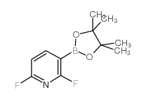 2,6-Difluoropyridine-3-boronic acid pinacol ester structure