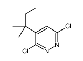 3,6-dichloro-4-(2-methylbutan-2-yl)pyridazine结构式