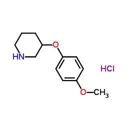 3-(4-Methoxyphenoxy)piperidine HCl图片