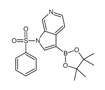 1-(benzenesulfonyl)-3-(4,4,5,5-tetramethyl-1,3,2-dioxaborolan-2-yl)-1H-pyrrolo[2,3-c]pyridine structure