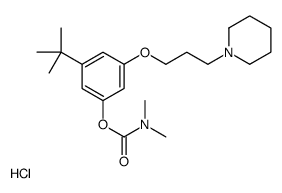 [3-tert-butyl-5-(3-piperidin-1-ylpropoxy)phenyl] N,N-dimethylcarbamate,hydrochloride Structure
