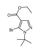 ETHYL5-BROMO-1-TERT-BUTYL-1H-PYRAZOLE-4-CARBOXYLATE Structure