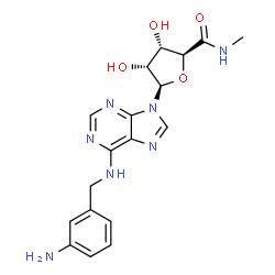 N(6)-(4-aminobenzyl)adenosine-5'-N-methyluronamide structure