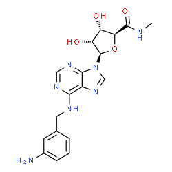 N(6)-(4-aminobenzyl)adenosine-5'-N-methyluronamide Structure