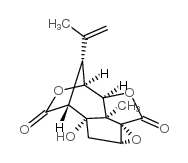 Picrotoxinin picture