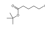 tert-butyl 5-iodopentanoate Structure