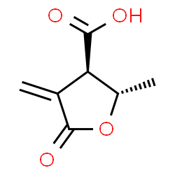 3-Furancarboxylicacid,tetrahydro-2-methyl-4-methylene-5-oxo-,(2R,3S)-rel-(9CI) picture