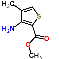 3-氨基-4-甲基噻吩-2-羧酸甲酯图片