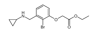 ethyl (2-bromo-3[(cyclopropylamino)methyl]phenoxy)acetate结构式