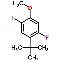 1-Fluoro-4-iodo-5-methoxy-2-(2-methyl-2-propanyl)benzene Structure