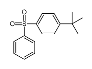 1-(benzenesulfonyl)-4-tert-butylbenzene Structure