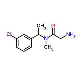 N-[1-(3-Chlorophenyl)ethyl]-N-methylglycinamide结构式