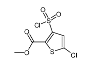 METHYL 5-CHLORO-3-(CHLOROSULFONYL)THIOPHENE-2-CARBOXYLATE Structure