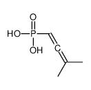 3-methylbuta-1,2-dienylphosphonic acid Structure