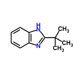 2-tert-butyl-1H-benzo[d]imidazole structure