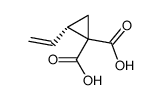 (S)-2-vinylcyclopropane-1,1-dicarboxylic acid结构式