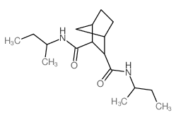 2,3-Norbornanedicarboxamide,N,N'-di-sec-butyl-, trans- (8CI) Structure