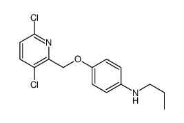 4-[(3,6-dichloropyridin-2-yl)methoxy]-N-propylaniline结构式