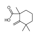 1,3,3-trimethyl-2-methylidenecyclohexane-1-carboxylic acid结构式