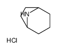 8-azabicyclo[3.2.1]octane,hydrochloride Structure