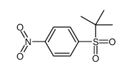 1-tert-butylsulfonyl-4-nitrobenzene Structure