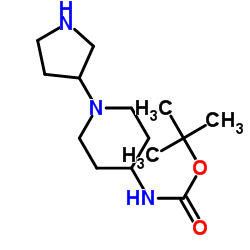 (1-吡咯烷-3-哌啶-4-基)-氨基甲酸叔丁酯图片