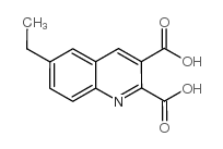 6-Ethylquinoline-2,3-dicarboxylic acid Structure