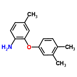 2-(3,4-Dimethylphenoxy)-4-methylaniline结构式