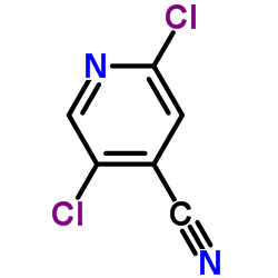 2,5-Dichloroisonicotinonitrile picture