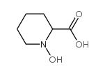 N-Hydroxypipecolic acid structure