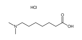 7-dimethylamino-heptanoic acid , hydrochloride结构式